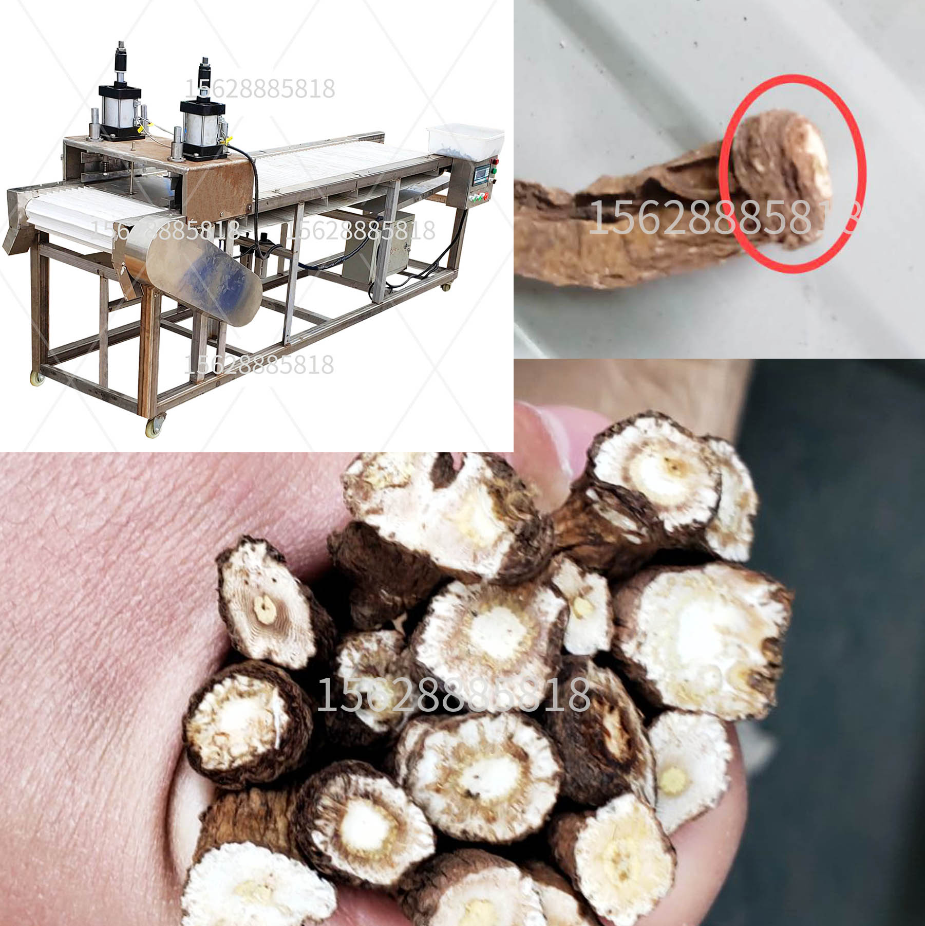 果蔬加工、茶葉等前處理設(shè)備 去根